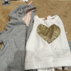 Oshkosh girls toddler sweatshirts (3t)